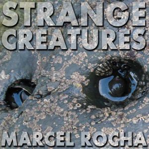 Strange Creatures cover